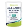 Collagene RIGENERA WHY nature