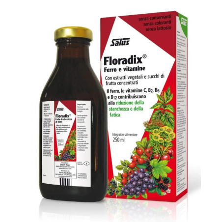 Floradix Ferro e Vitamine SALUS